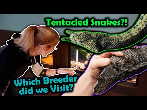 Видео: Зоопарк зимой, странные змеи и центр Вселенной — всё это в Оклахоме?! (Oklahoma Vlog)