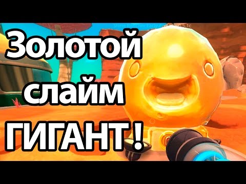 Видео: Купил гигантского золотого слайма ! Новые слизни ! ( Slime rancher )
