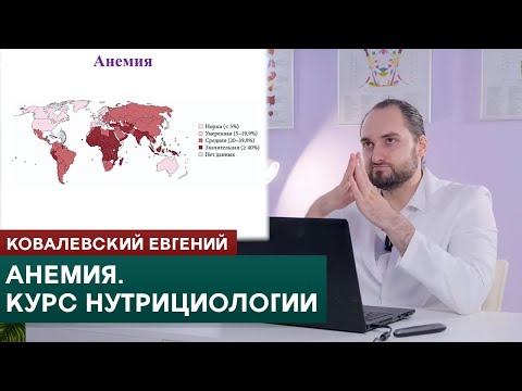 Видео: Анемия. Клинические и биохимические анализы крови и мочи. Онлайн-курс по нутрициологии.
