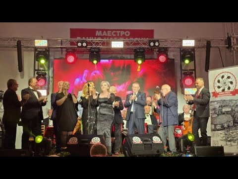 Видео: Фолк Фест Владимирово 2025