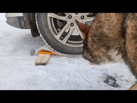 Видео: Легенда возвращается