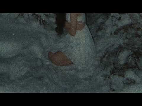 Видео: ooes — зима ( slowed reverb )