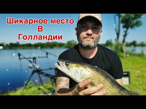 Видео: Шикарное Новое Место Рыбалки в Голландии !!!   Angeln in den Niederlanden !!!  #fishing #angeln