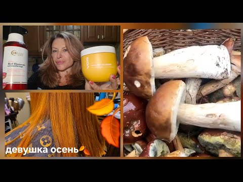 Видео: Отправила приз🏆.Жду внучку в гости.Грибник 🍄года🥇.Девушка осень🍂