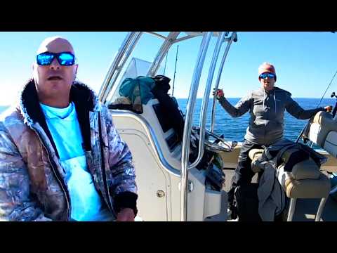 Видео: Пойман в открытом море с двумя видами нелегальной рыбы