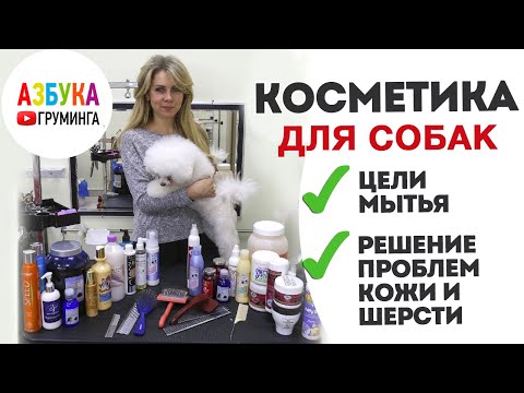 Видео: Косметика для собак - что выбрать? Последствия использования человеческого шампуня