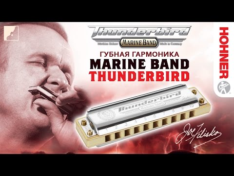 Видео: Обзор губной гармоники HOHNER Marine Band Thunderbird