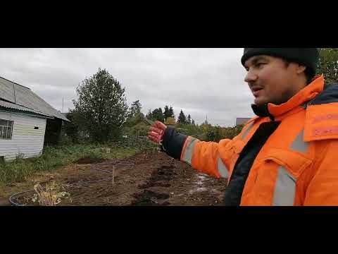 Видео: Проект " Ягода". Часть 2.