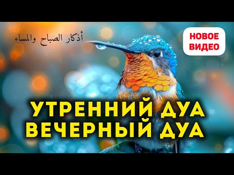 Видео: УТРЕННИЙ ДУА И ВЕЧЕРНЫЙ ДУА НА КАЖДЫЙ ДЕНЬ! أذكار الصباح والمساء ЗАЩИТИТЬ ВАС КРУГЛОСУТОЧНО!.