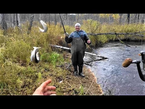 Видео: Ловля  ХАРИУСА в Глухой ТАЙГЕ ОСЕНЬЮ 19г(ТАЙГА,и ее Речушка)