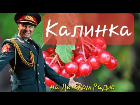 Видео: Дмитрий Беседин ( Ансамбль имени Александрова ) - Калинка