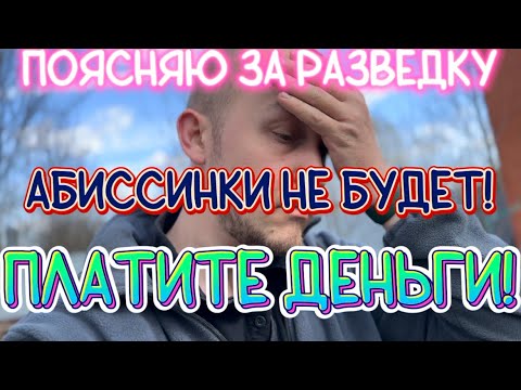 Видео: ПОСЛУШАЙ!!! ПОЯСНЯЮ ЗА РАЗВЕДКУ ПРИ БУРЕНИИ АБИССИНСКИХ СКВАЖИН.