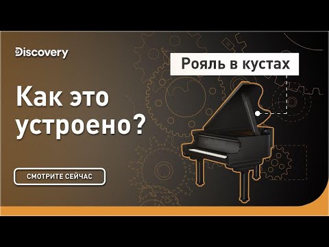 Видео: "Рояль в кустах" | Как это устроено? | Discovery