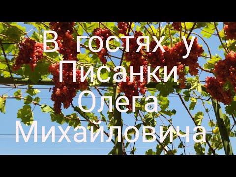 Видео: В гостях у Писанки Олега Михайловича