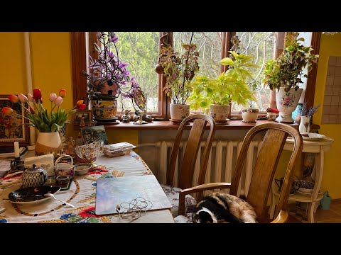 Видео: Обзор участка , теплиц в середине апреля. Купила хризантемы , черемшу , женьшень