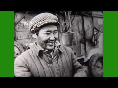 Видео: Тасархай  Кинохроника Хара Шибири