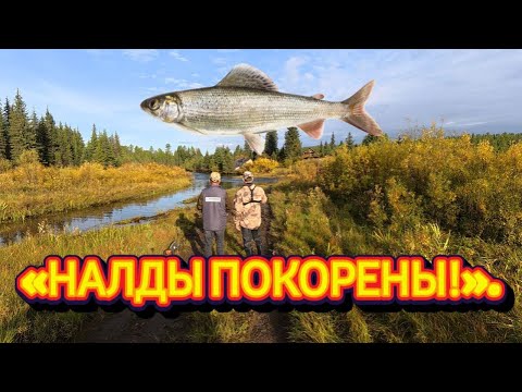 Видео: Рыбалка в Урочище Налды: Добрались! Ловим на Якоките и Самоките.