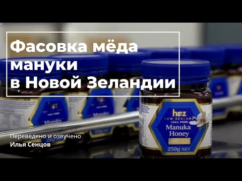 Видео: Фасовка мёда мануки в Новой Зеландии