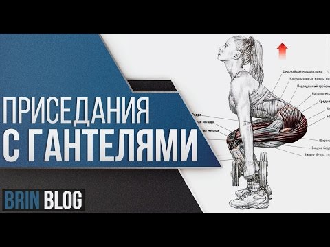 Видео: Приседания с гантелями / Техника выполнения / Ярослав Брин / Squats with dumbbells / Как приседать