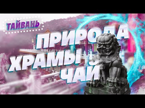 Видео: Тайвань. Города или природа? Дегустация очень необычных улунов.