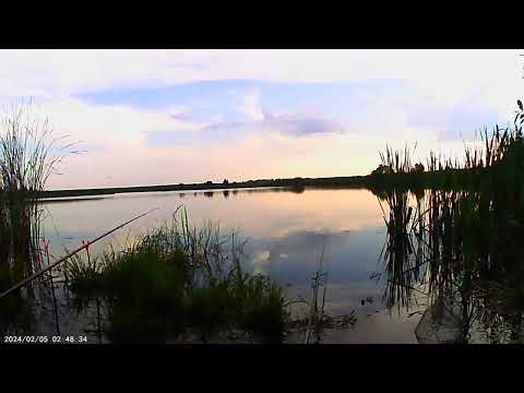 Видео: 30 октября 2025 г.