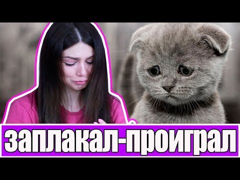 Видео: ЗАПЛАКАЛ - ПРОИГРАЛ: ВЫ БУДЕТЕ ПЛАКАТЬ ВМЕСТЕ С НАМИ