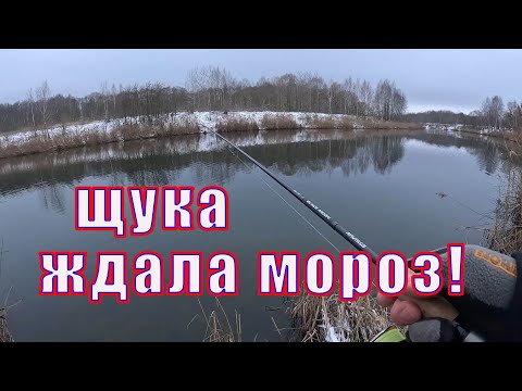 Видео: Рыбалка на СПИННИНГ В МОРОЗ с берега на реке.  Жадные поклёвки щук!