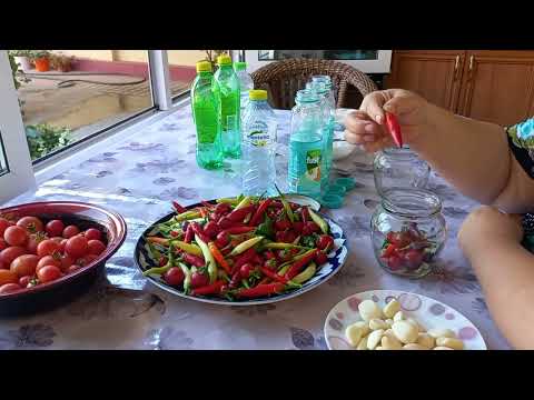 Видео: КИШГА ГАРМДОРИ ТУЗЛАЙМИЗ🌶🌶🌶🌶🧄🧄🌶🌶