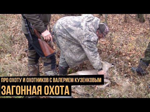 Видео: Загонная охота / Про охоту и охотников с Валерием Кузенковым. Сезон 1