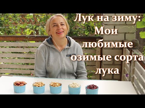 Видео: Посадка лука на зиму: лучшие озимые сорта лука для посадки на зиму, которые я высаживаю в октябре