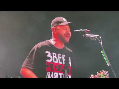 Видео: Звери — Синий трамвай (VK FEST, 30.06.24, @Парк 300-летия, Санкт-Петербург)