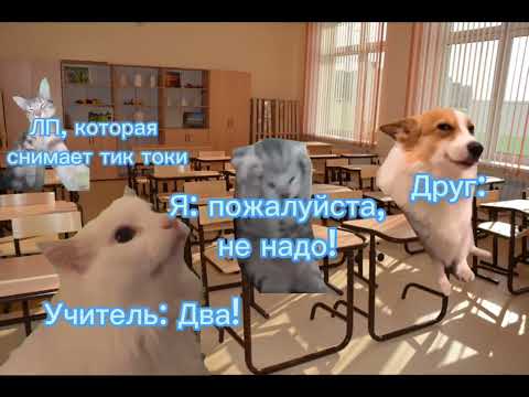 Видео: Кошачья жизнь 🐱 Все серии (1 - 3) Сборник #1