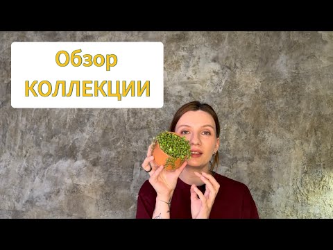 Видео: Обзор коллекции | Часть 4 | Заключительная