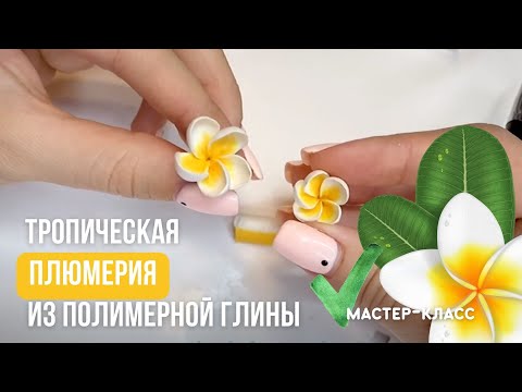 Видео: Плюмерия из запекаемой полимерной глины. Мастер класс тропические цветы