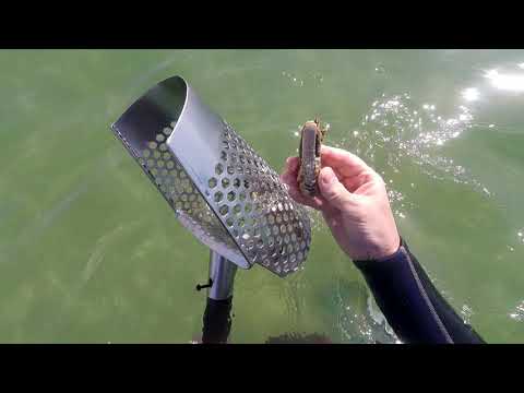 Видео: ЗОЛОТО 999проб. Лучшая находка в этом году. Подводный поиск в Барселоне .