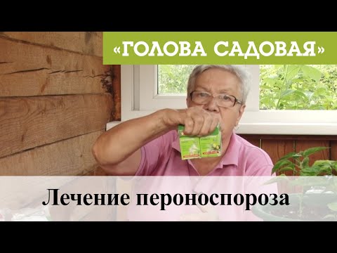 Видео: Голова садовая - Лечение пероноспороза
