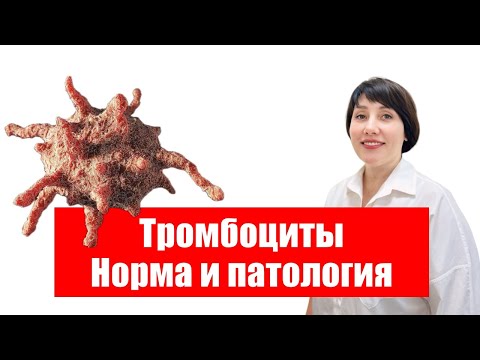 Видео: Тромбоциты. Норма и патология.