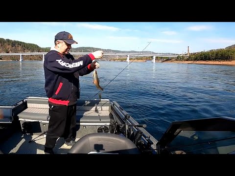 Видео: Рыбалка на Енисее, хариус. Ледоход Маны.