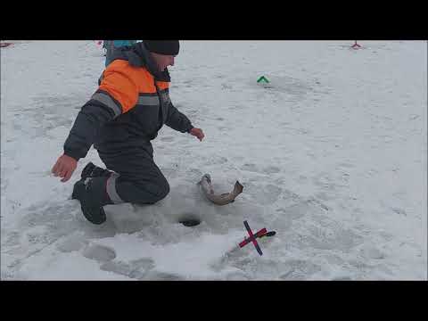 Видео: Форель быстро уходит из зоны запуска. Клёвое место, Лосиный остров, нижний водоём.