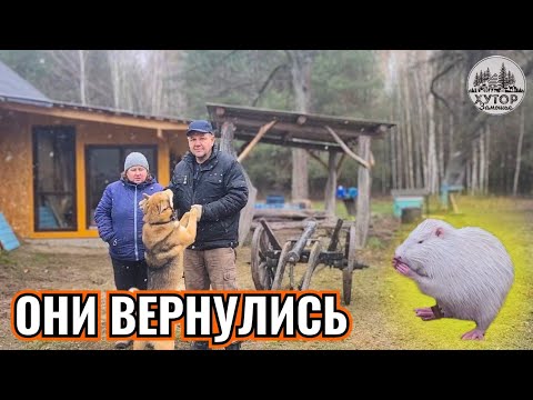 Видео: ВСЁ УСПЕТЬ ДО ЗИМЫ. ПЕРВЫЙ СНЕГ ,ПЕРЕПАХАТЬ И ВСЁ УБРАТЬ.