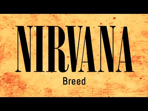 Видео: Nirvana - Breed (трек для гитары)