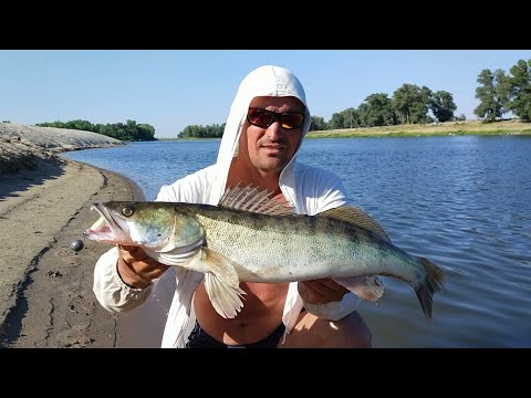 Видео: Болхуны 2021.  Десять дней кайфа!!!!!🐟☝️🐟👍👍👍