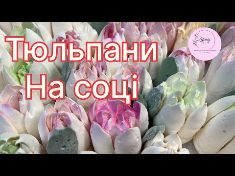 Видео: Тюльпани з насадок із зефіру на соці