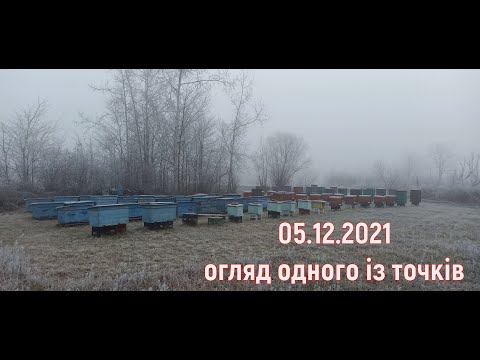 Видео: 05.12.2021 огляд одного із точків