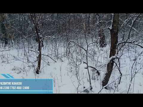 Видео: Жребий есть инструмент Святого Духа.