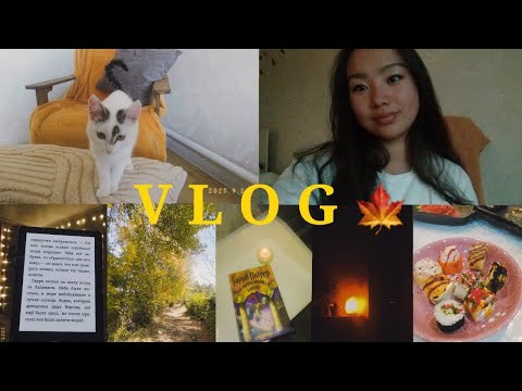 Видео: Тихий осенний влог | учёба, готовка, чтение и уют дома 🍂📚🕯️