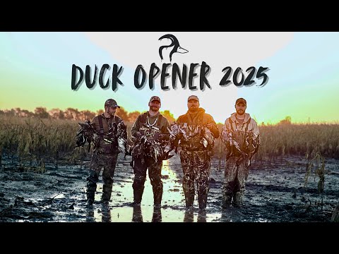 Видео: Утиный открывалка 2025