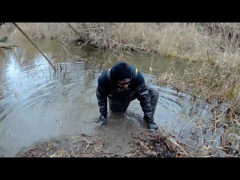 Видео: Постановка капкана на Бобра  Bank Hole (Бэнк Хол) + Beaver Creek подробно (09.11.2018)