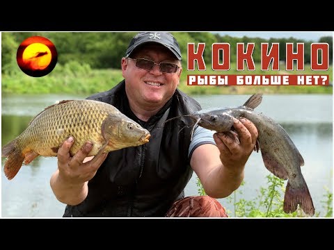 Видео: Как ловить карпа? / Рыбалка с ночевкой / Выбор точки ловли / Рыбалка в Кокино