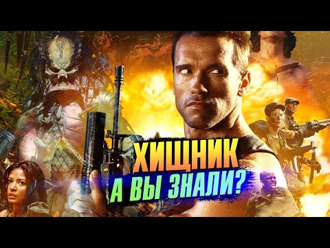 Видео: ХИЩНИК интересные факты о первом фильме франшизы (1987)